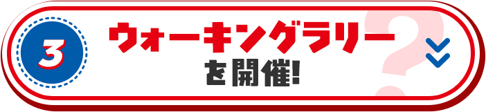 3. ウォーキングラリーを開催!