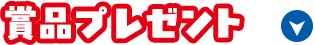 賞品プレゼント