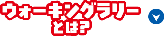 ウォーキングラリーとは?