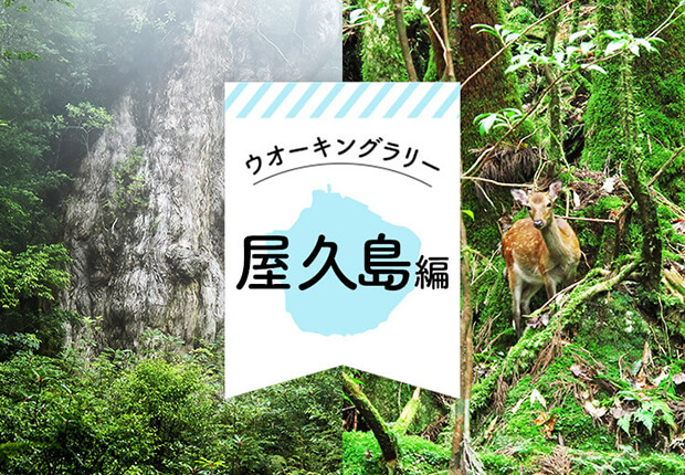 屋久島編